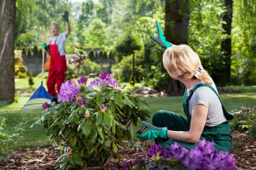 Gardening services in Blackheath for tidy residential gardens