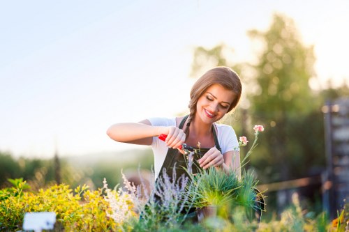 Annual review of modern slavery controls in Blackheath garden services