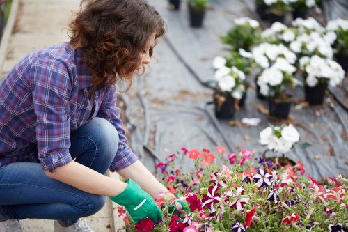 Gardeners Blackheath pricing and quote planning for a local garden service