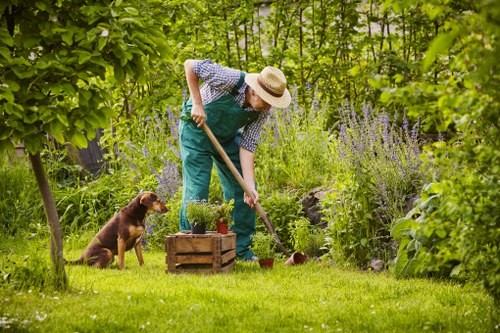 Blackheath gardener working on a well-kept garden