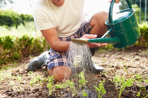Landscaping in Blackheath with a stylish garden and paved path