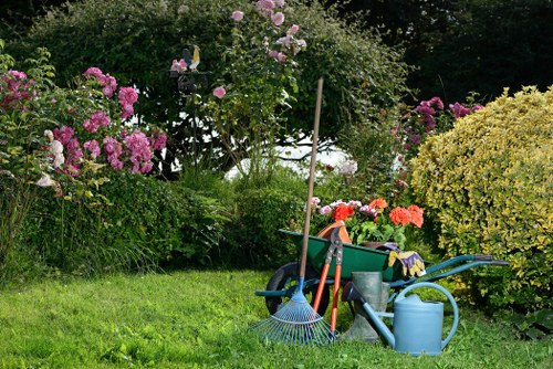 Professional lawn care treatment on a Blackheath garden lawn