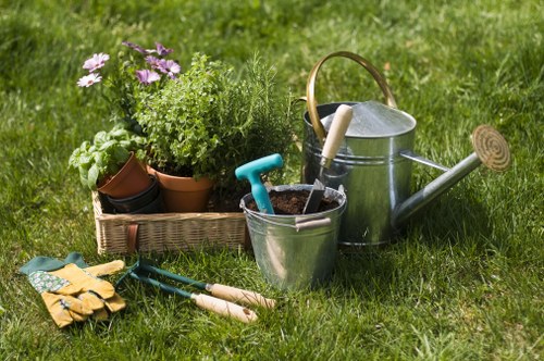 Overgrown garden in Blackheath being prepared for clearance and tidy-up