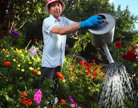 Professional hedge trimming in a Blackheath garden