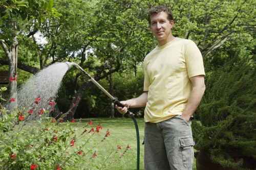 Professional garden maintenance in a Blackheath outdoor space