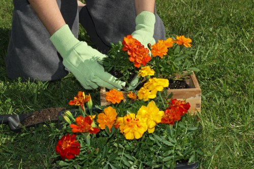 Professional handling of a gardening complaint review