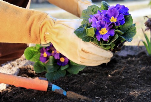 Team applying health and safety standards in garden work