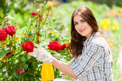 Commercial gardening services in Blackheath for neat outdoor spaces