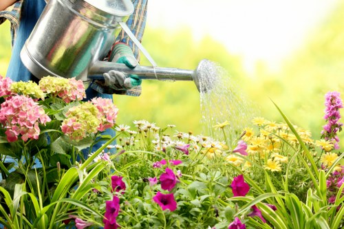 Professional Blackheath gardeners shaping hedges and improving structure