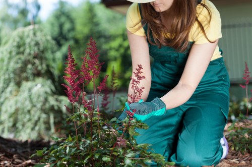 Backyard landscaping in Blackheath with seating and lush planting