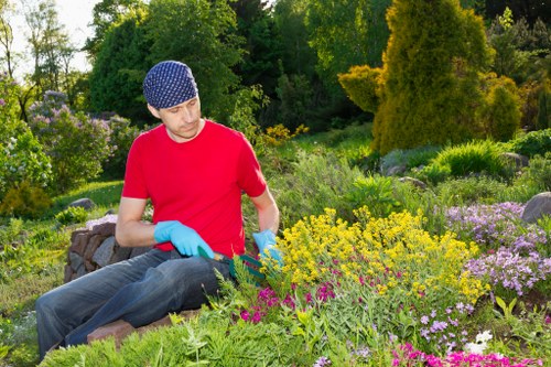 Seasonal garden maintenance tasks in a Blackheath outdoor space