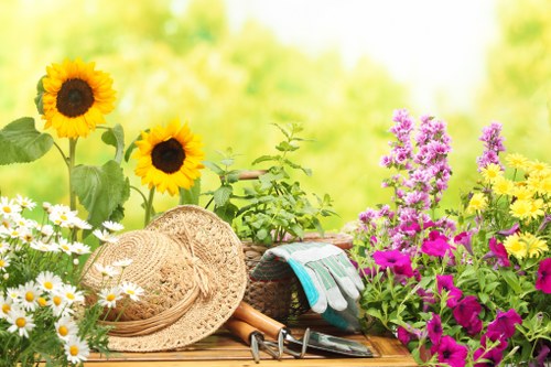Residential garden maintenance service in Blackheath