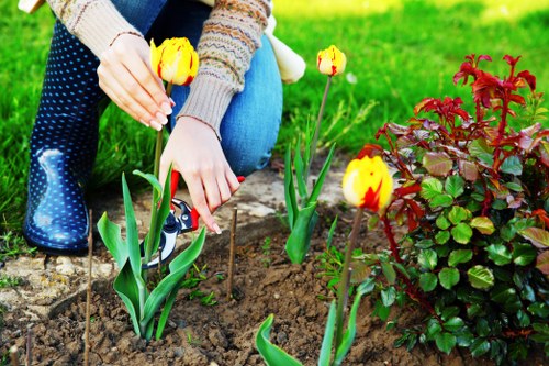 Pruning and hedge care by gardeners in Blackheath