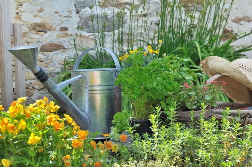 Restoring an overgrown Blackheath garden with skilled maintenance