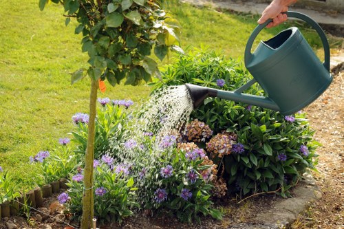Seasonal lawn maintenance work in a Blackheath outdoor space