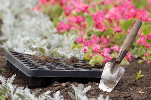 A tidy and healthy garden maintained by Blackheath gardeners