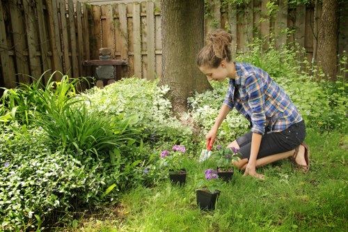 Sustainable garden maintenance with recycling and reuse in Blackheath