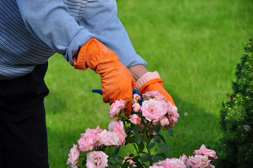 Professional lawn mowing service maintaining a Blackheath garden
