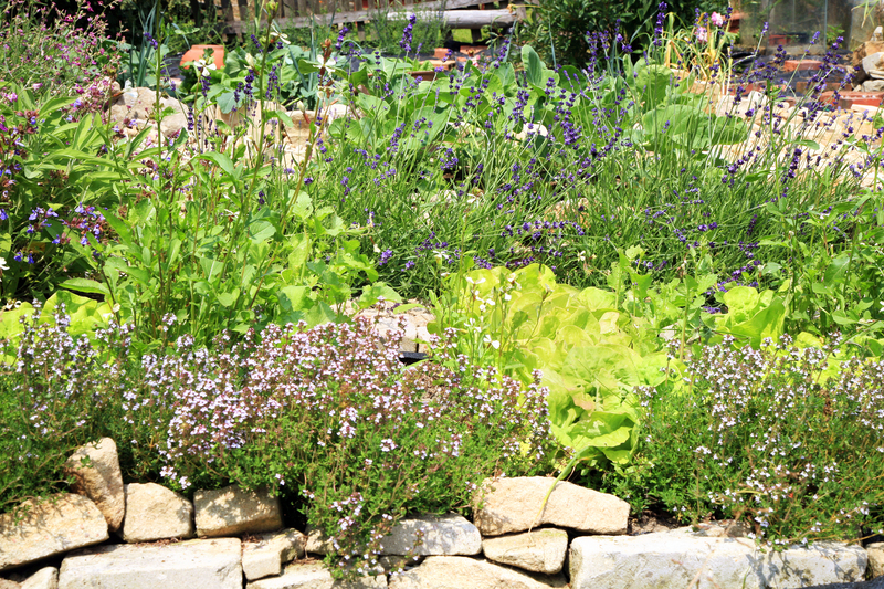 garden outdoor space