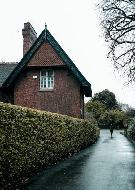 A paved pathway bordered by well-maintained, dense green hedges leads towards a red brick house with a steep gabled roof and white-framed windows in a residential area of Blackheath. The pathway appea