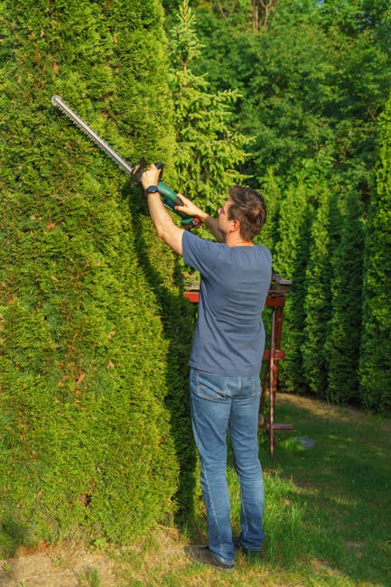 A paved pathway bordered by well-maintained, dense green hedges leads towards a red brick house with a steep gabled roof and white-framed windows in a residential area of Blackheath. The pathway appea