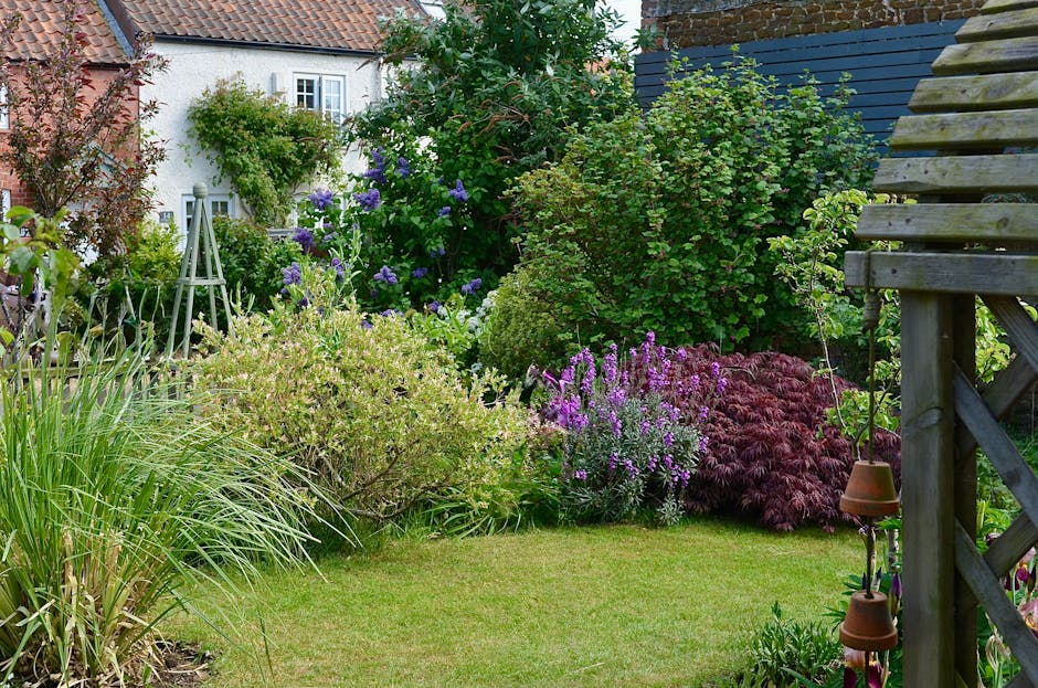 A small front garden in Blackheath featuring a narrow rectangular flower bed bordered by a low white wall, filled with a variety of plants including low-growing greenery, pink flowering plants, and or