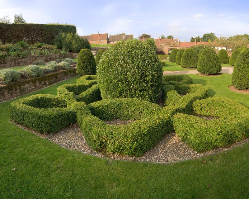hedge trimming landscape design